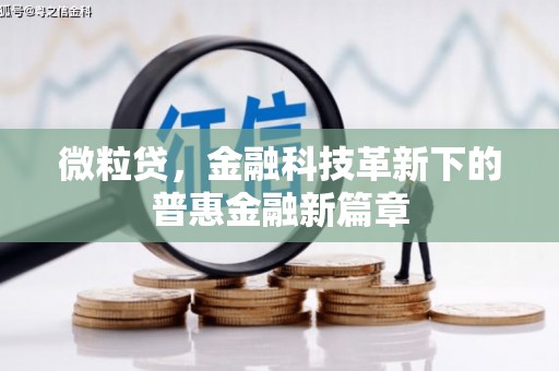 蠡县微粒贷，金融科技革新下的普惠金融新篇章