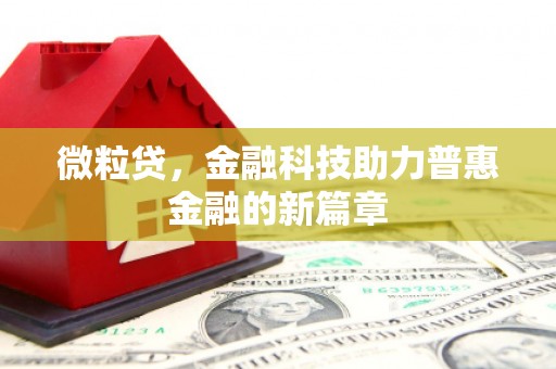 蠡县微粒贷，金融科技助力普惠金融的新篇章