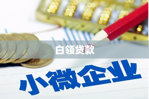 蠡县白领贷款