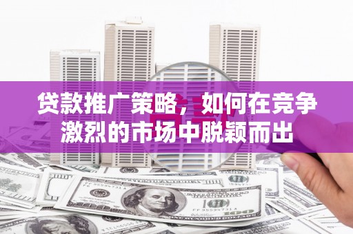 蠡县贷款推广策略，如何在竞争激烈的市场中脱颖而出