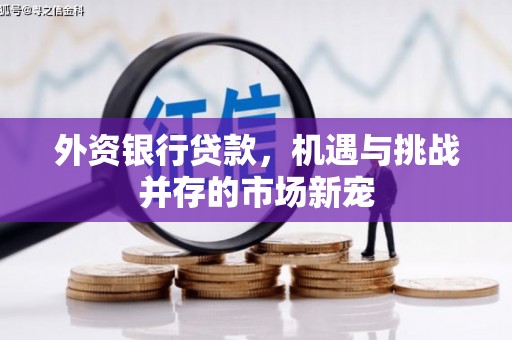 蠡县外资银行贷款，机遇与挑战并存的市场新宠