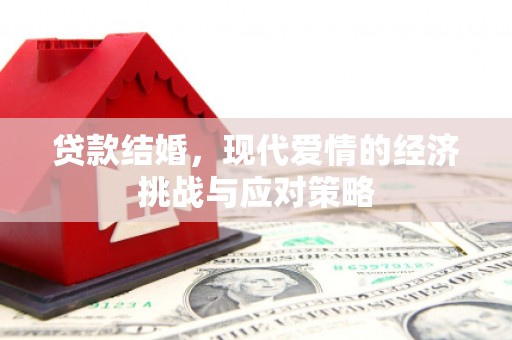 蠡县贷款结婚，现代爱情的经济挑战与应对策略