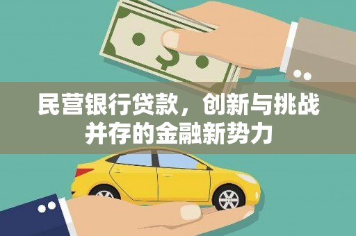蠡县民营银行贷款，创新与挑战并存的金融新势力