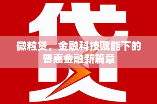 蠡县微粒贷，金融科技赋能下的普惠金融新篇章