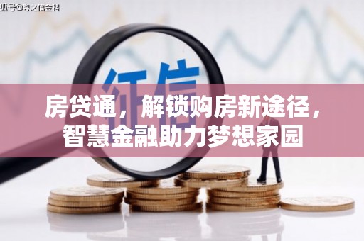 蠡县房贷通，解锁购房新途径，智慧金融助力梦想家园