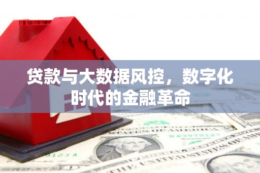 蠡县贷款与大数据风控，数字化时代的金融革命