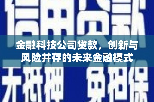 蠡县金融科技公司贷款，创新与风险并存的未来金融模式