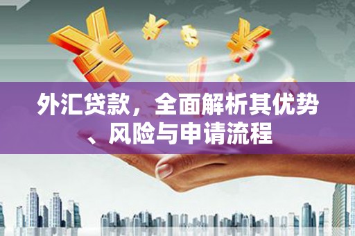 蠡县外汇贷款，全面解析其优势、风险与申请流程