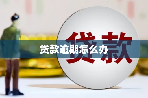 蠡县贷款逾期怎么办