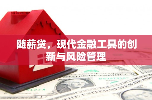 蠡县随薪贷，现代金融工具的创新与风险管理