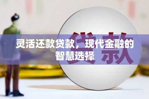 蠡县灵活还款贷款，现代金融的智慧选择