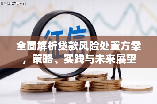 蠡县全面解析贷款风险处置方案，策略、实践与未来展望
