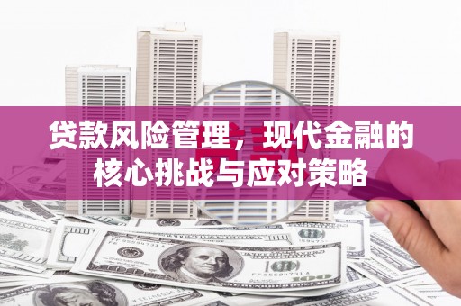 蠡县贷款风险管理，现代金融的核心挑战与应对策略
