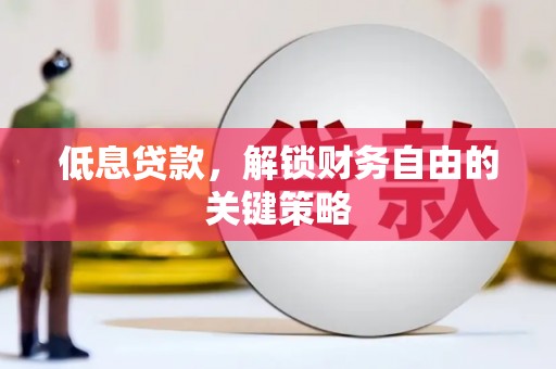 蠡县低息贷款，解锁财务自由的关键策略