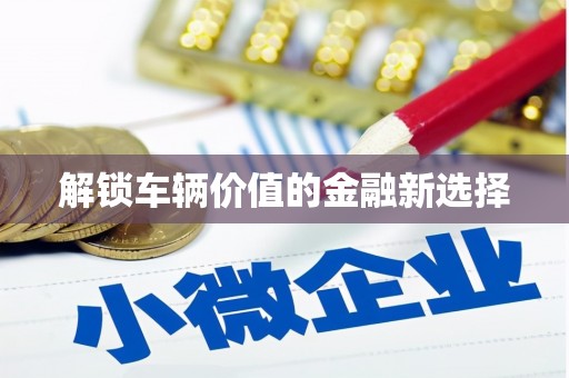 蠡县解锁车辆价值的金融新选择