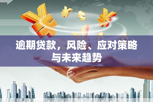 蠡县逾期贷款，风险、应对策略与未来趋势