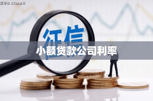 蠡县小额贷款公司利率