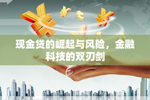 蠡县现金贷的崛起与风险，金融科技的双刃剑