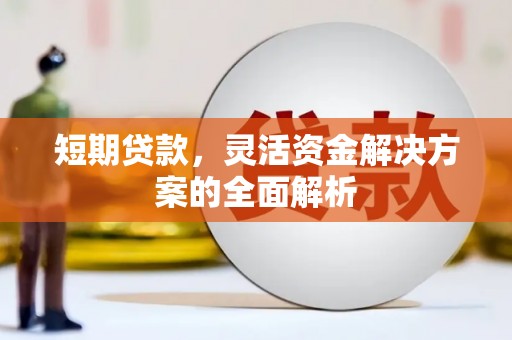 蠡县短期贷款，灵活资金解决方案的全面解析