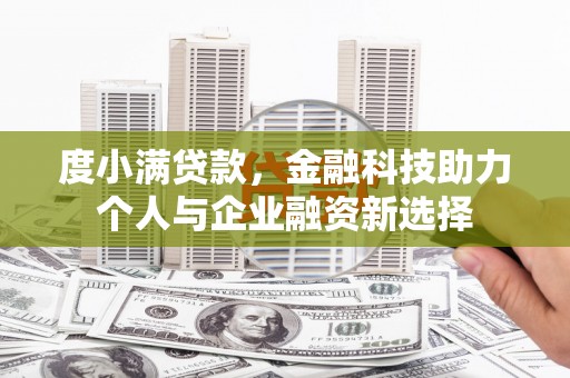 蠡县度小满贷款，金融科技助力个人与企业融资新选择