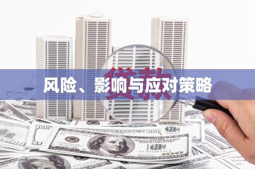 蠡县风险、影响与应对策略