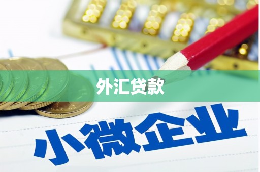 蠡县外汇贷款