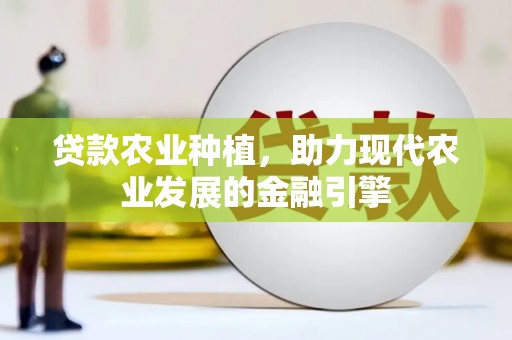 蠡县贷款农业种植，助力现代农业发展的金融引擎