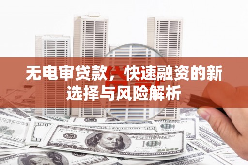 蠡县无电审贷款，快速融资的新选择与风险解析