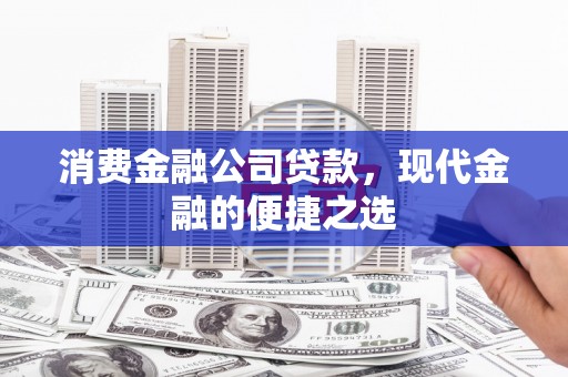 蠡县消费金融公司贷款，现代金融的便捷之选