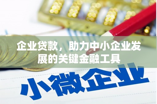 蠡县企业贷款，助力中小企业发展的关键金融工具