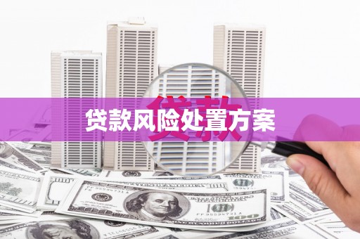 蠡县贷款风险处置方案