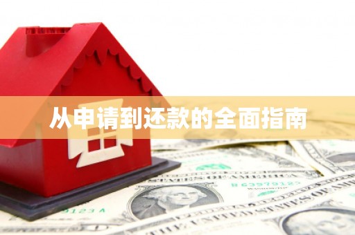 蠡县从申请到还款的全面指南