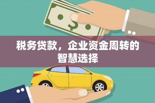 蠡县税务贷款，企业资金周转的智慧选择