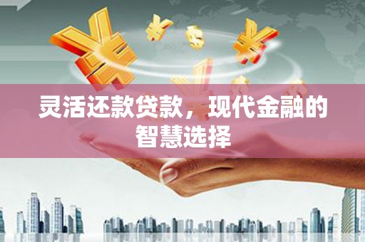 蠡县灵活还款贷款，现代金融的智慧选择