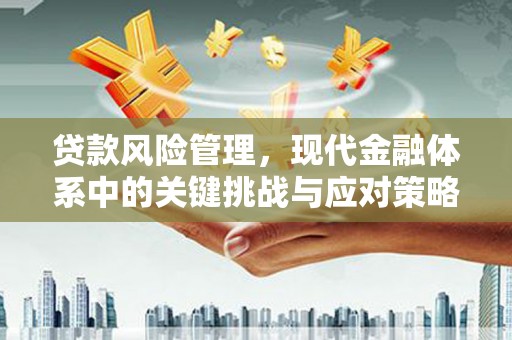 蠡县贷款风险管理，现代金融体系中的关键挑战与应对策略