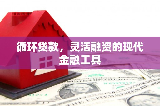 蠡县循环贷款，灵活融资的现代金融工具