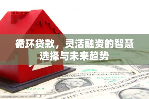 蠡县循环贷款，灵活融资的智慧选择与未来趋势