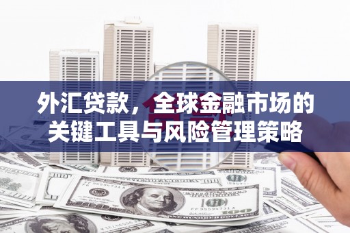 蠡县外汇贷款，全球金融市场的关键工具与风险管理策略
