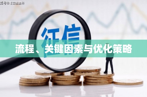 蠡县流程、关键因素与优化策略