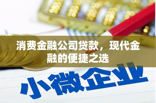 蠡县消费金融公司贷款，现代金融的便捷之选