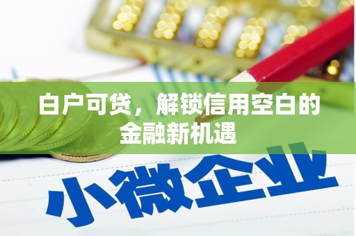 蠡县白户可贷，解锁信用空白的金融新机遇
