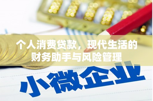 蠡县个人消费贷款，现代生活的财务助手与风险管理