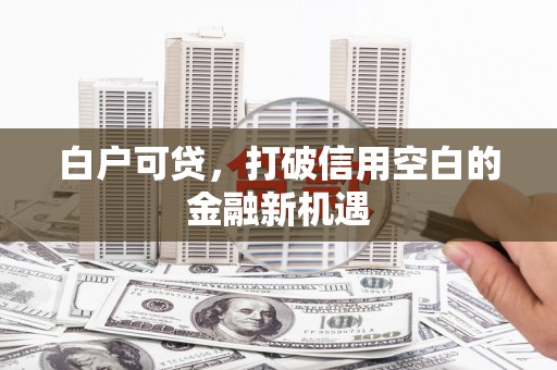 蠡县白户可贷，打破信用空白的金融新机遇