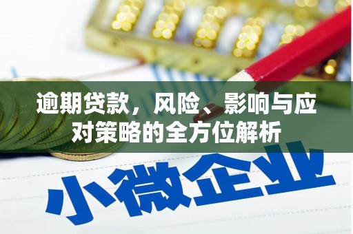 蠡县逾期贷款，风险、影响与应对策略的全方位解析