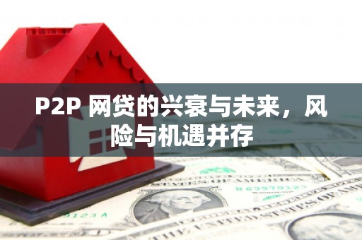 蠡县P2P 网贷的兴衰与未来，风险与机遇并存