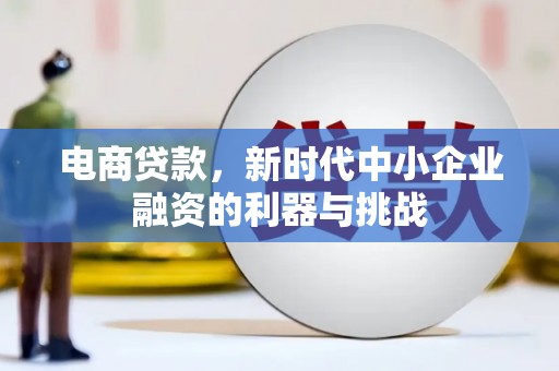 蠡县电商贷款，新时代中小企业融资的利器与挑战