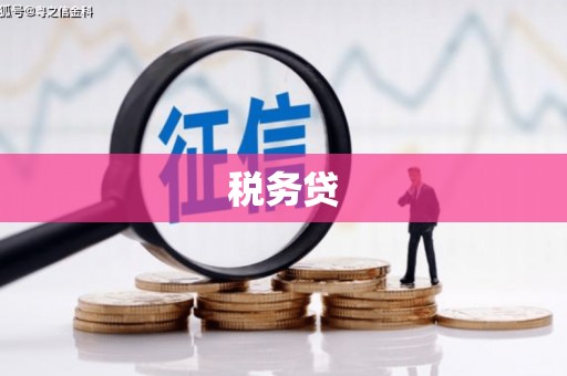 蠡县税务贷