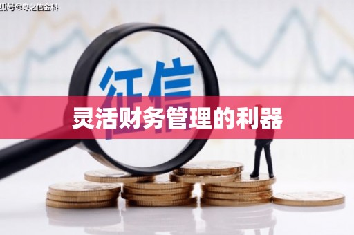 蠡县灵活财务管理的利器