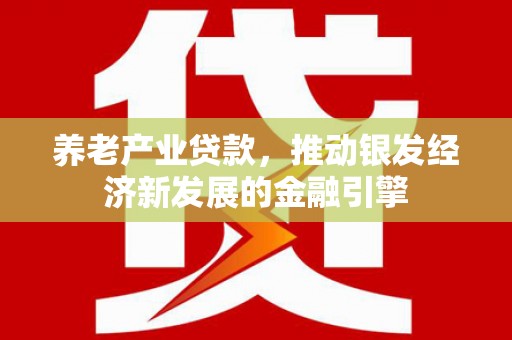 蠡县养老产业贷款，推动银发经济新发展的金融引擎