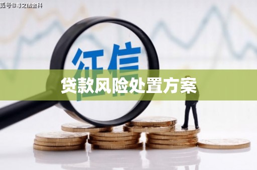蠡县贷款风险处置方案